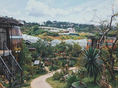 Có gì tại homestay thùng rượu vang ở Đà Lạt khiến giới trẻ đứng ngồi không yên?