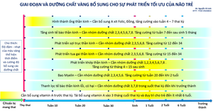 Dinh dưỡng vàng cho phát triển tối ưu não bộ trong những năm tháng đầu đời