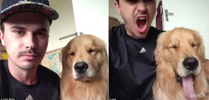 Clip: Chó cưng bắt chước biểu cảm của chủ khiến dân mạng phì cười