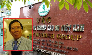 Lãnh đạo Tập đoàn Cao su Việt Nam sai phạm những gì đến mức phải khởi tố?