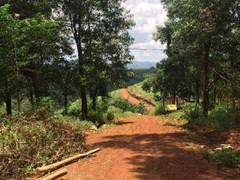 Kỷ luật cảnh cáo nguyên Giám đốc Sở Kế hoạch và Đầu tư tỉnh Đắk Nông