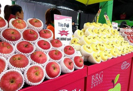 Táo sạch từ Nhật Bản chính vụ 2018 đã có mặt tại Việt Nam
