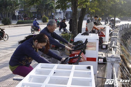 Video: Xe đạp lọc nước bên hồ vừa lắp bị kẻ gian trộm bàn đạp