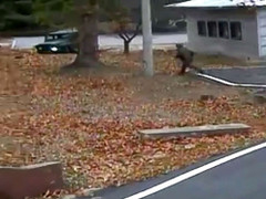 Món quà không tưởng của binh sỹ Triều Tiên đào tẩu sau khi hồi phục