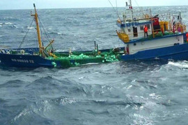 Gửi văn bản khẩn cấp đề nghị Malaysia cho ngư dân Bình Định tránh bão số 15