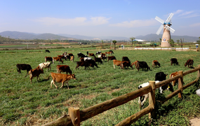 Vinamilk 3 năm liên tiếp đứng đầu bảng xếp hạng Top 10 doanh nghiệp niêm yết uy tín 2017