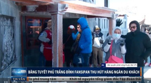 Video: Đỉnh Fansipan phủ trắng băng tuyết hút khách du lịch
