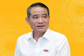 Bí thư Đà Nẵng Trương Quang Nghĩa: 'Quân đội đã bắt Út 'trọc''