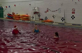 Đúng dịp Giáng sinh, nước hồ bơi bất ngờ chuyển màu đỏ như trong phim kinh dị