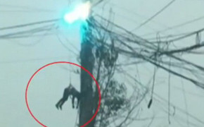 Video: Thợ sửa điện nằm vắt vẻo trên đường dây cao thế đang bốc cháy dữ dội