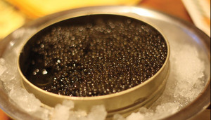 Cận cảnh quá trình sản xuất trứng cá caviar đắt đỏ, giá ngàn 'đô'