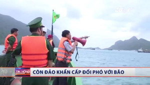 Côn Đảo khẩn cấp sơ tán dân tránh bão chưa từng có trong lịch sử