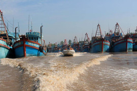 Rạng sáng mai, bão số 16 giật cấp 12 đổ bộ Côn Đảo