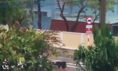 Bão số 16 bắt đầu tấn công Côn Đảo: Gió dữ dội, đèn đường, cây cối đổ rạp