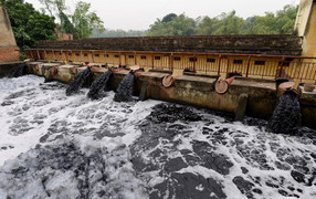 Video: Dân Chương Mỹ dùng nước đen kịt, bốc mùi tưới rau hơn 10 năm nay
