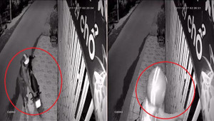 Clip: Thanh niên đội mũ Grabbike luồn tay qua kẽ cửa trộm chim của nhà dân