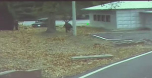 Binh sỹ Triều Tiên đào tẩu lộ dấu hiệu mất trí nhớ