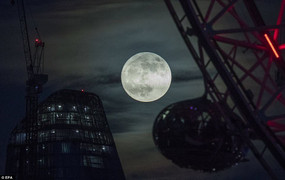 Ảnh, video: ‘Trăng sói’ cực hiếm xuất hiện ở khắp nơi trên thế giới