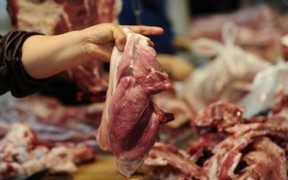 Ăn thịt động vật nuôi bằng 'đạm giả' nguy cơ chết người