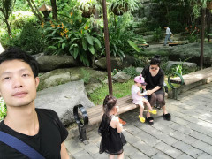 Ly kì câu chuyện mẹ đơn thân xinh đẹp và chàng trai tân phố cổ được 2 chú chó mai mối