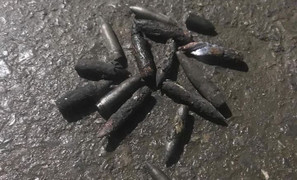 Video: Thu hàng ngàn đầu đạn tại hiện trường vụ nổ ở Bắc Ninh