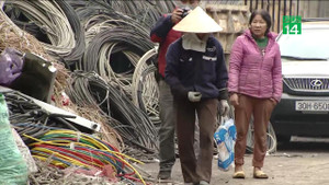 Thu gom phế liệu - Nghề cược mạng, đánh đu với tử thần