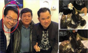 Bị chỉ trích vì lộ ảnh sử dụng tay gấu, diễn viên 'Người phán xử' lên tiếng