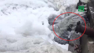 Clip: Cận cảnh trạm bơm xả nước đen ngòm vào dòng sông 'tuyết' ở Hà Nam