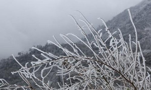 Miền Bắc rét đậm rét hại trong cả tuần này