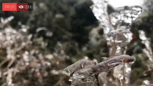 Trực tiếp: Băng phủ kín đỉnh đèo Ô Quý Hồ, Sa Pa, Lào Cai