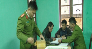 Ngang nhiên buôn bán cỏ Mỹ qua đường bưu điện