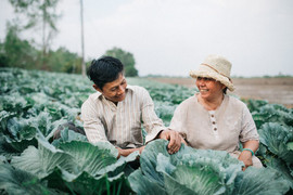 Thổn thức trước bộ ảnh đôi vợ chồng nông dân bên vườn bắp cải đẹp nao lòng