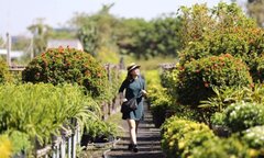 Giới trẻ rần rần check in vườn hoa Sa Đéc vạn người mê ở Đồng Tháp