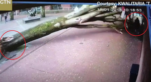 Clip: Cây to bật gốc suýt đè chết 2 mẹ con trên vỉa hè