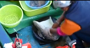 Nể phục trước kĩ năng làm mực chuyên nghiệp, bà nội trợ nên vào học tập