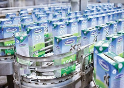 Nhà đầu tư ngoại chi gần 9.000 tỷ đồng sở hữu 3,33% cổ phần Vinamilk