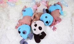 Bệnh viện Thái Lan cho các bé sơ sinh mặc đồ cún khi chào đời trong năm Mậu Tuất