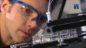 Siêu khuẩn kháng thuốc có thể giết 10 triệu người/năm