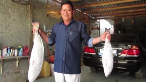 Dân Khánh Hòa câu được cặp cá sủ vàng bạc tỷ