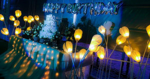 Nhận vơ là con nhà đại gia, cô gái Cà Mau đặt tiệc 120 triệu rồi xin trả góp