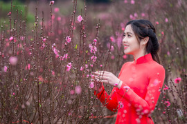 Hot girl Đại học Kiểm sát Hà Nội khoe sắc thắm bên hoa đào ngày Xuân