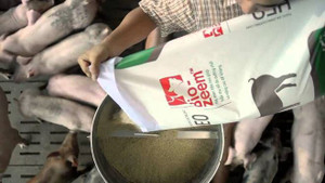 Masan công bố lợi nhuận kỷ lục Quý IV/2017 và triển vọng tăng trưởng 2 chữ số năm 2018