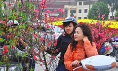Dự báo thời tiết Tết Nguyên đán 2018: Miền Bắc, Miền Trung không quá rét
