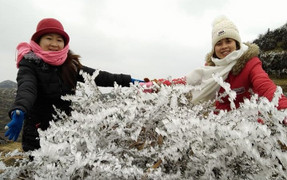 Nhiệt độ xuống -3°C, xã vùng biên Hà Giang chìm trong băng giá