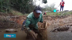 Dân Hà Tĩnh lội bùn bắt cá lóc trong cái lạnh thấu xương