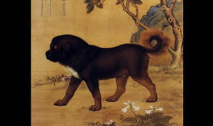 Loài chó mang ý nghĩa gì trong quan niệm dân gian Trung Quốc?