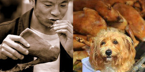 Thời này mà còn ăn thịt chó thì có phải là người văn minh?