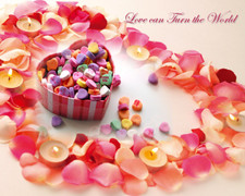 Những lời chúc Valentine cho người yêu hay nhất, ngọt ngào và ý nghĩa