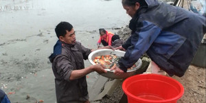 Ảnh: Về làng Thủy Trầm xem quăng lưới bắt cá chép đỏ trước ngày ông Công, ông Táo