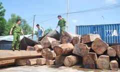 Khai trừ Đảng 2 cán bộ kiểm lâm ở Đắk Lắk